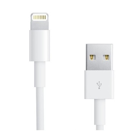 Apple MD819 Lightning to USB Cavo 2m Bulk